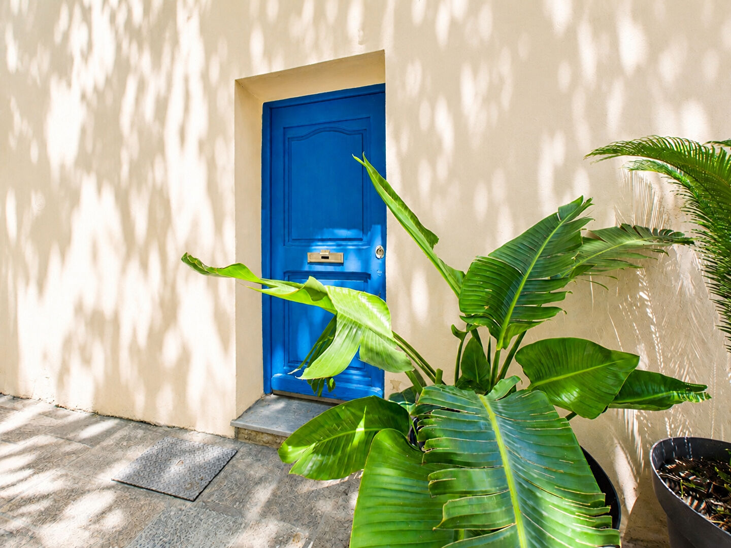 Agence immobilière de AVIS IMMOBILIER BASTIA