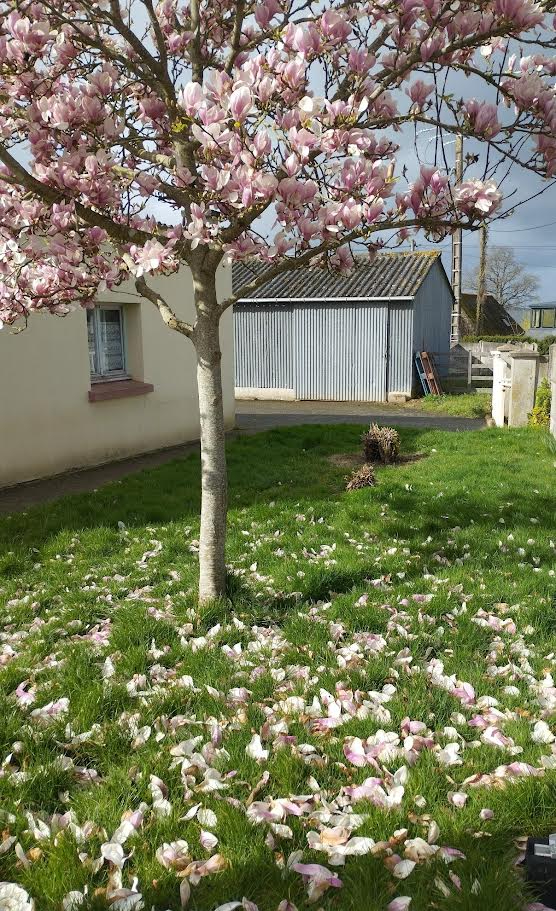 Photo A NEULLIAC...proche PONTIVY... image 5/6