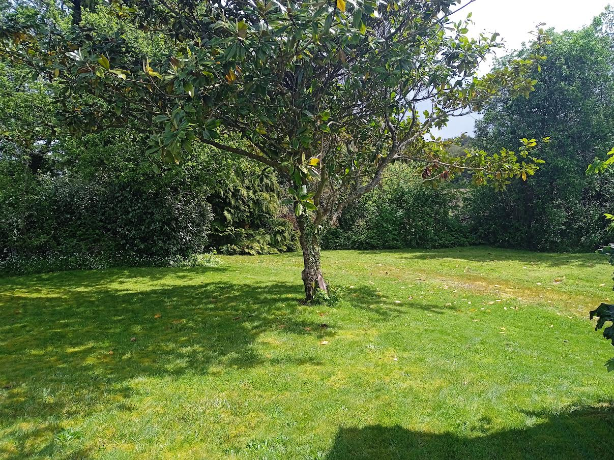 Photo CALME & QUIÉTUDE... image 2/6