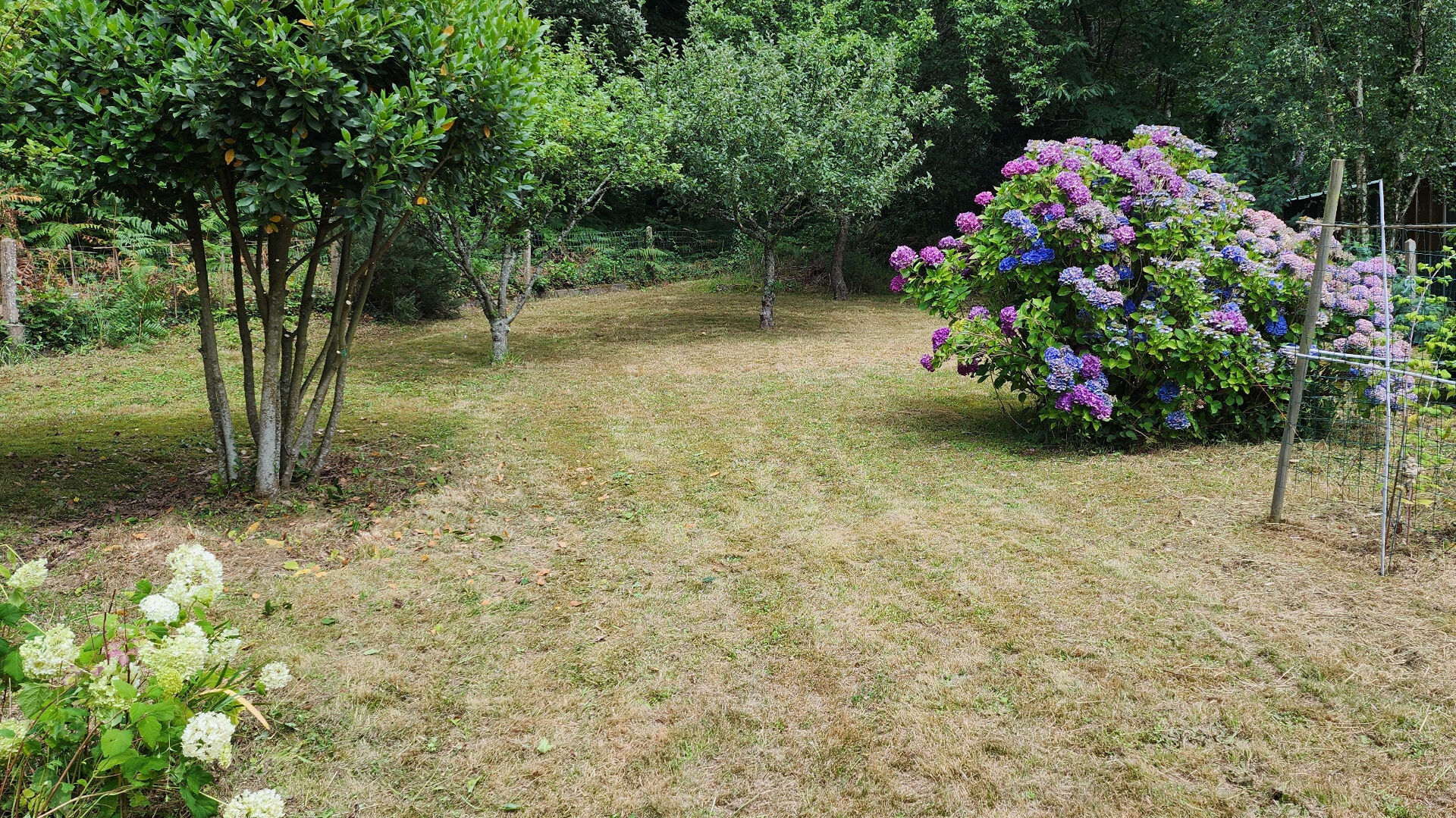 Photo REGION DE GUERLEDAN image 3/6