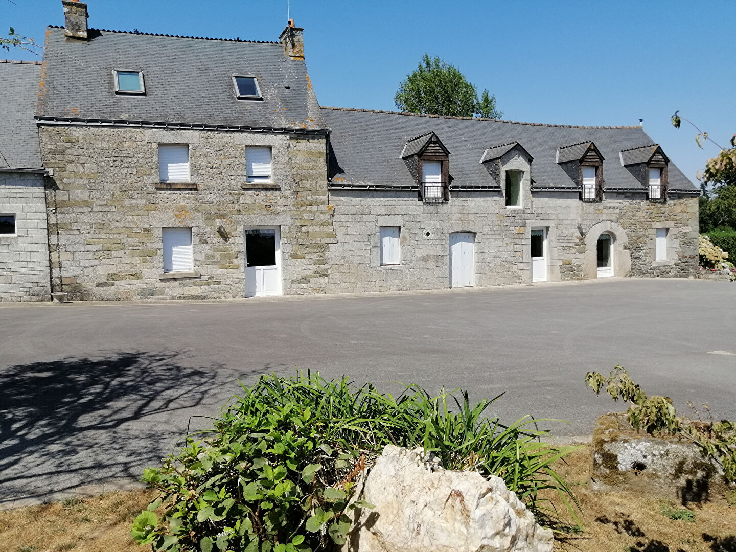 Photo EXCEPTIONNELLE ET RARE image 2/6