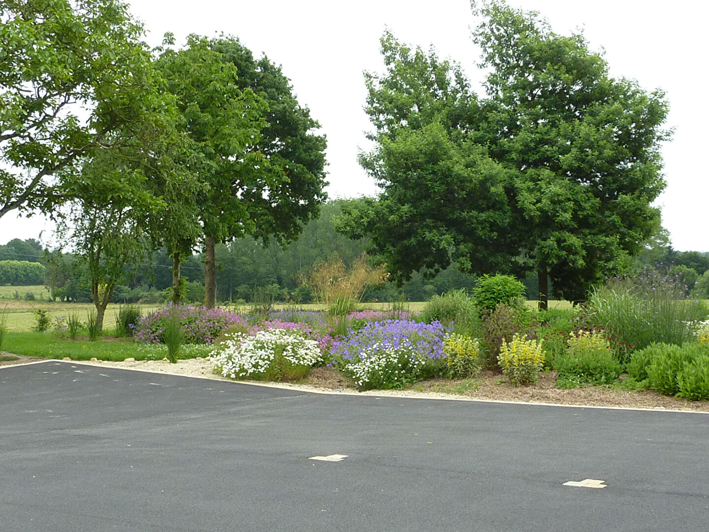 Photo EXCEPTIONNELLE ET RARE image 3/6