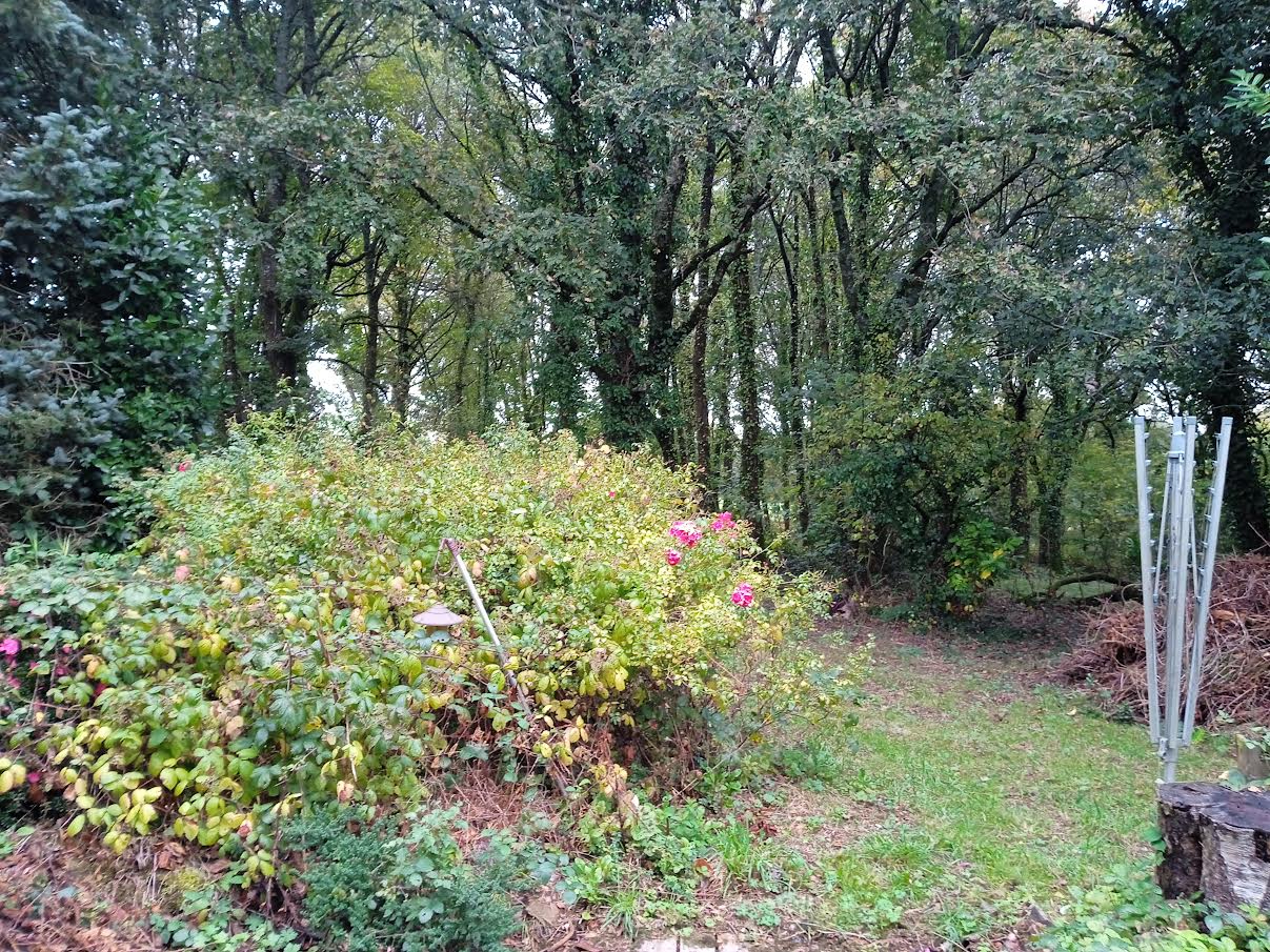 Photo PROCHE DU LAC .... image 3/6