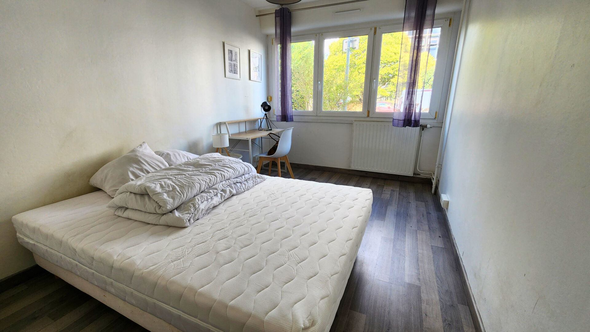 Agence immobilière de Bed ,  School Groupe