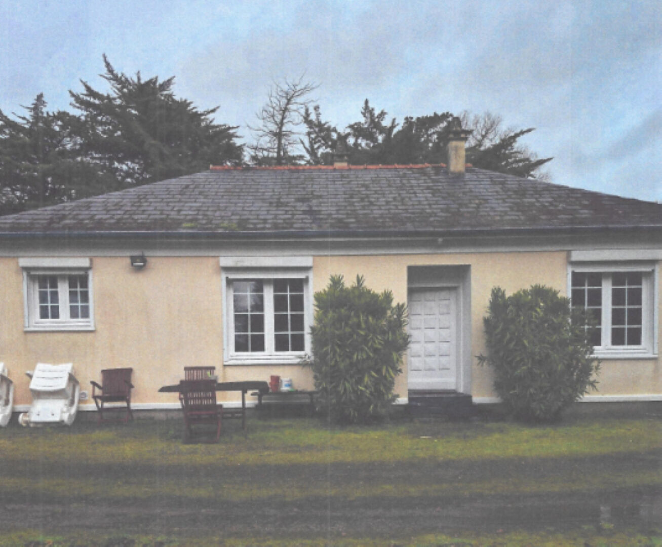 Agence immobilière de Bed ,  School Groupe