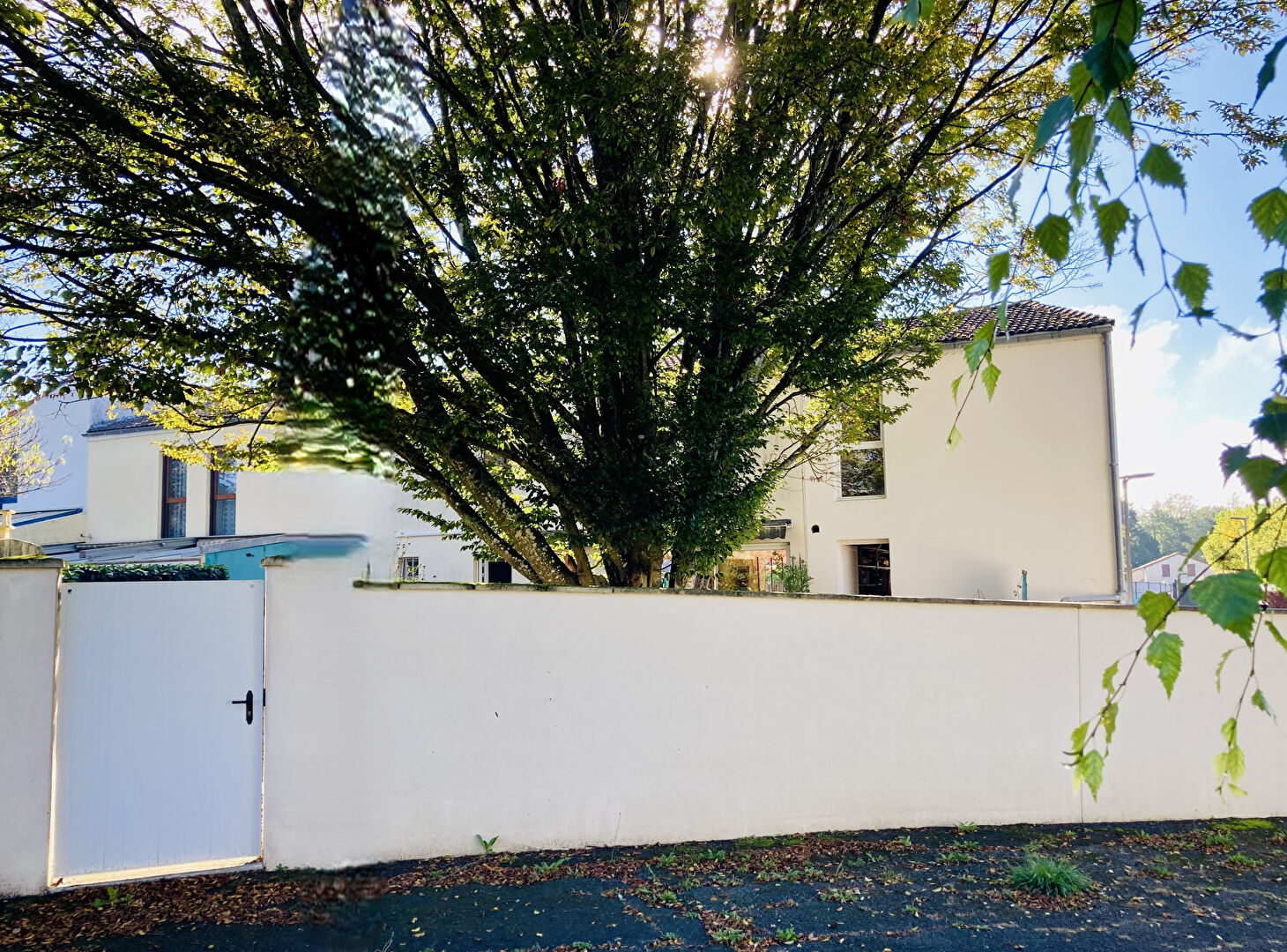 Agence immobilière de Bed ,  School Groupe - Bed ,  Family Poitiers