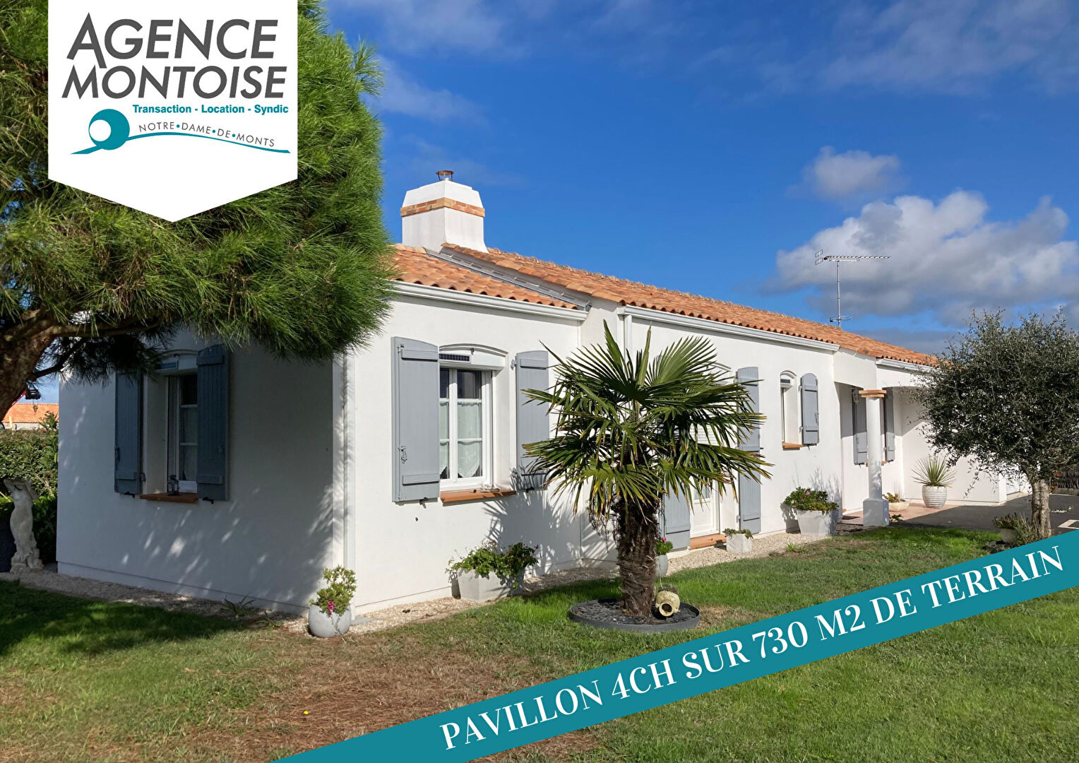 Agence immobilière de 
 BONNAMY IMMOBILIER - OTIM - BONNAMY immobilier - Otim 
