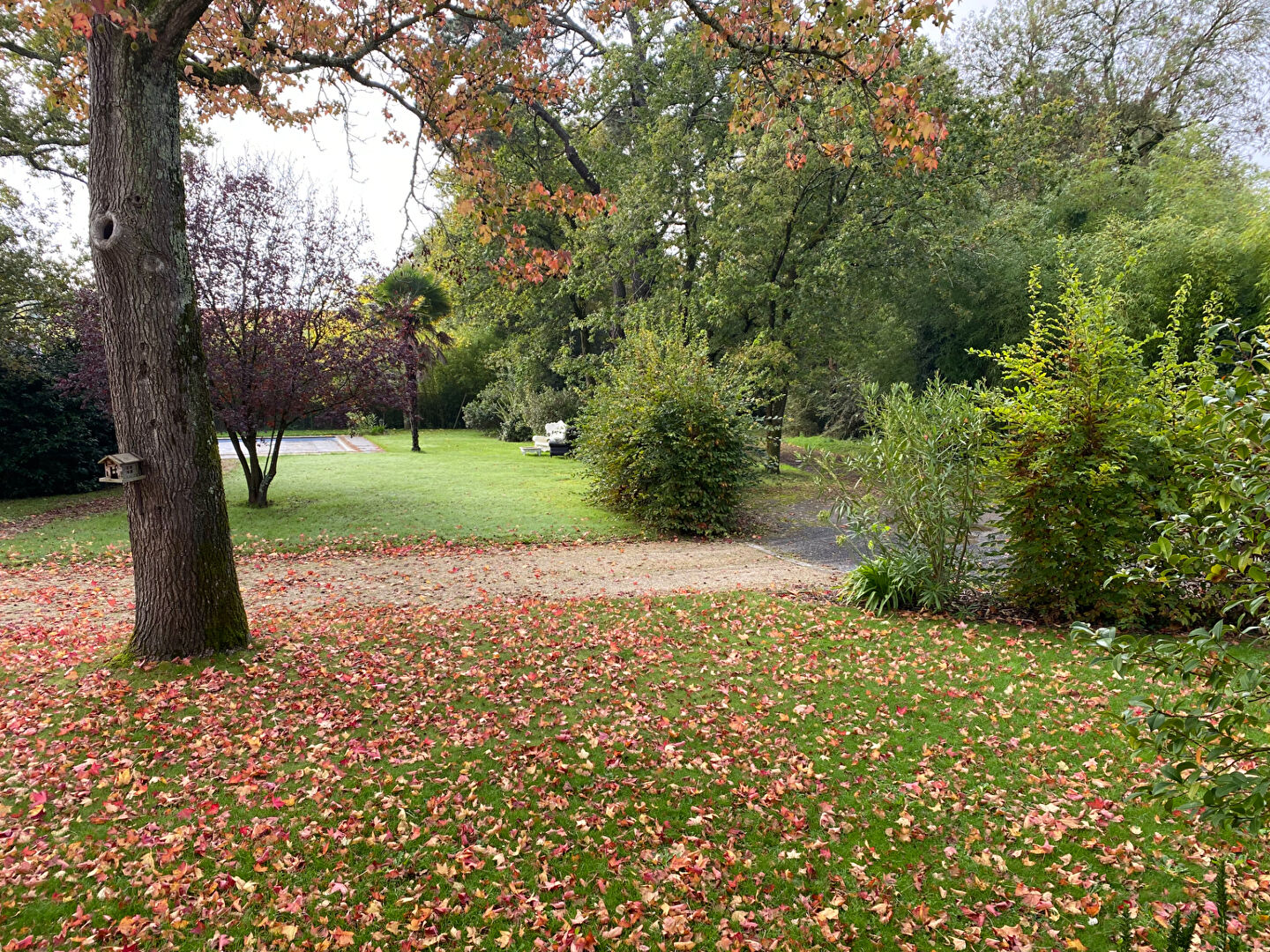 Photo Belle demeure de caractère de 340 m² avec une dépendance et une piscine située au coeur d'un parc de 8000 m² image 2/6