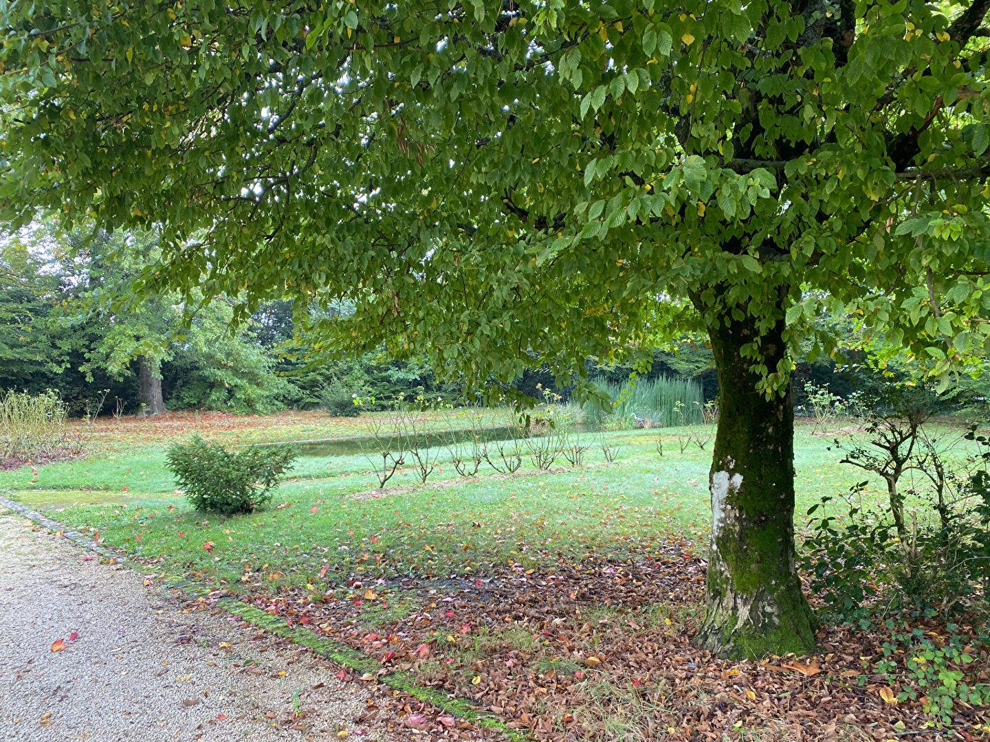 Photo Belle demeure de caractère de 340 m² avec une dépendance et une piscine située au coeur d'un parc de 8000 m² image 4/6