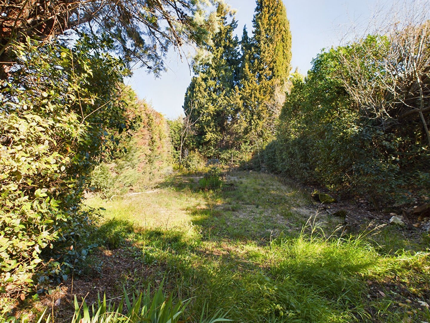 Photo Maison Les Angles Vieux Village 7 pièce(s) 151 m2 sur 1047 m2 de jardin image 4/6