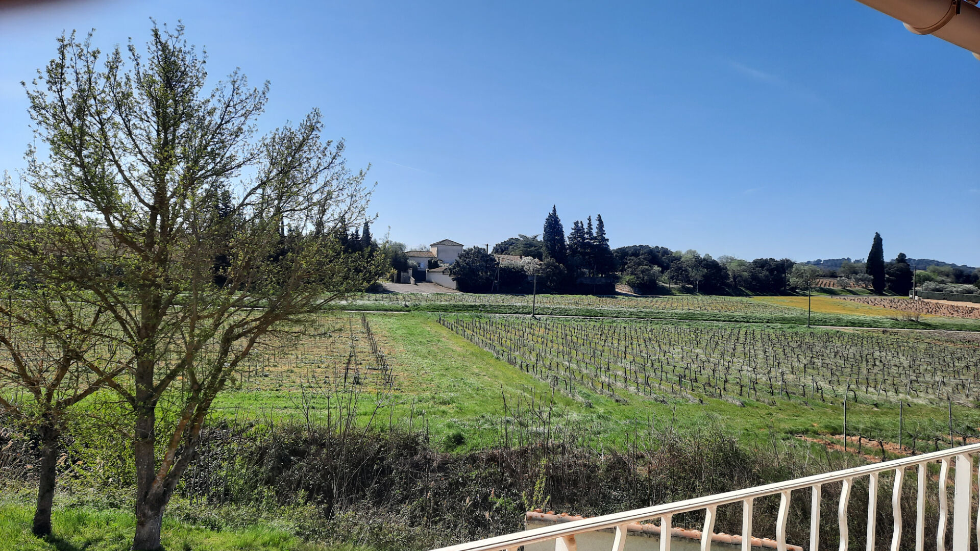 Photo EXCLUSIVITE // Maison de plain pied + Studio Courthézon 5 pièce(s) 112 m2 image 2/6