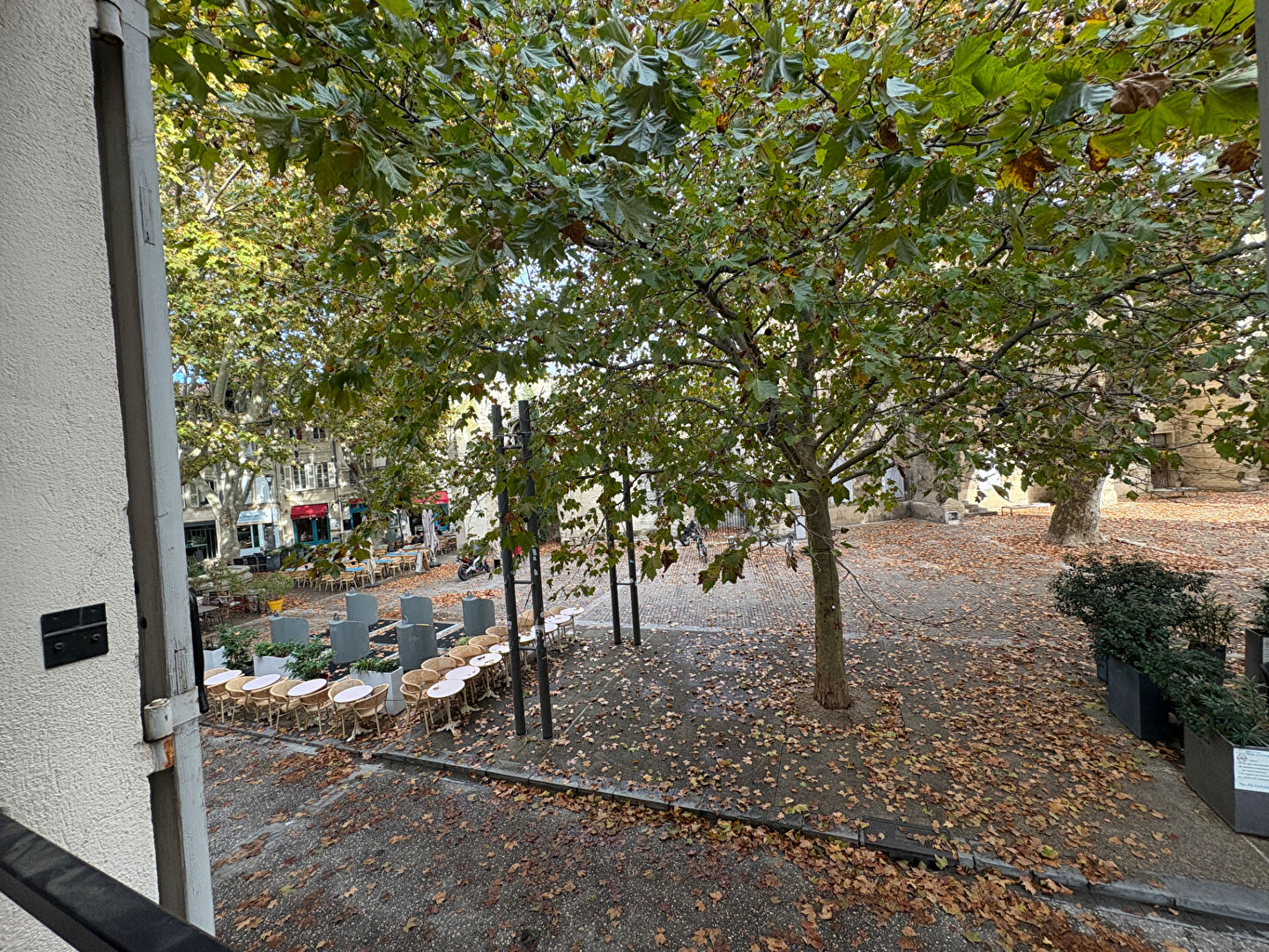 AVIGNON - PLACE DES CORPS SAINTS -T2