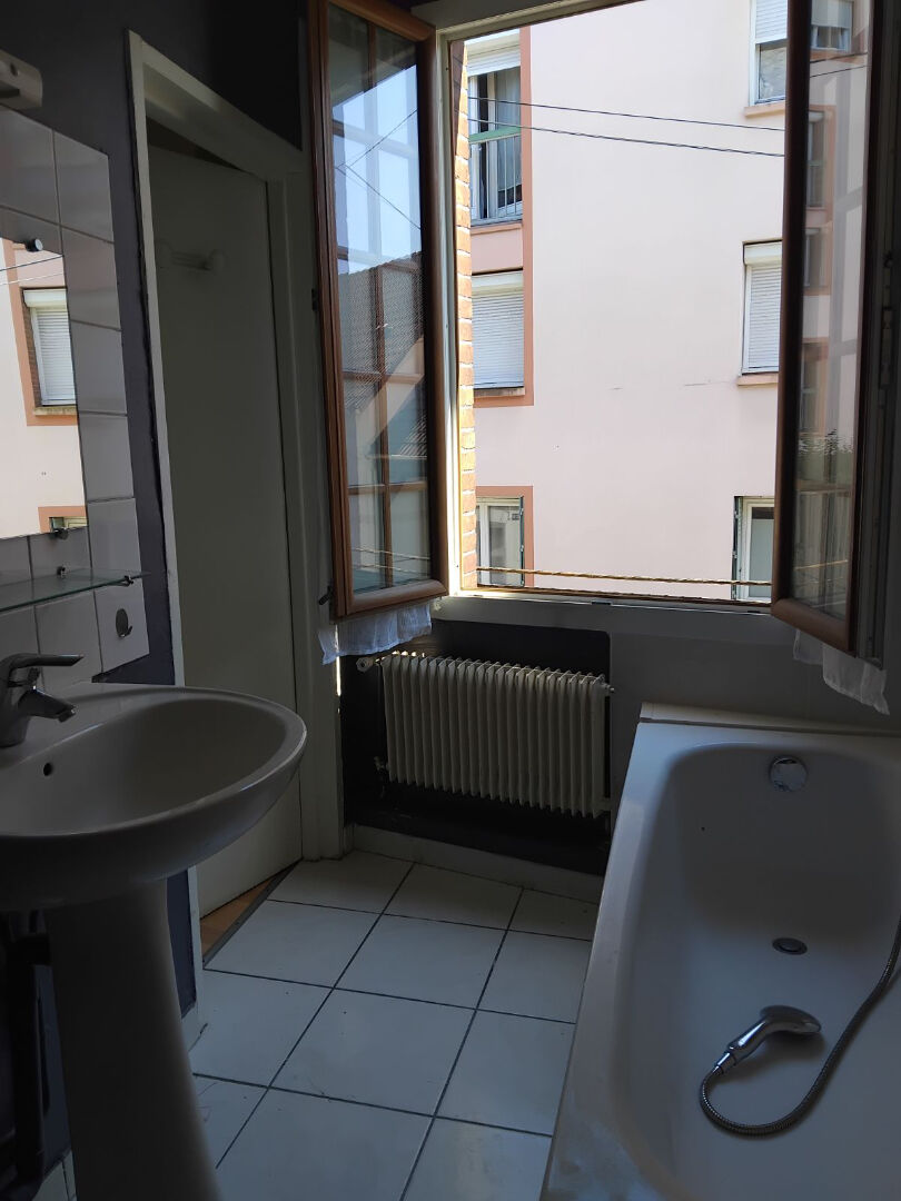 Photo ROUEN JARDIN DES PLANTES F2 image 3/3