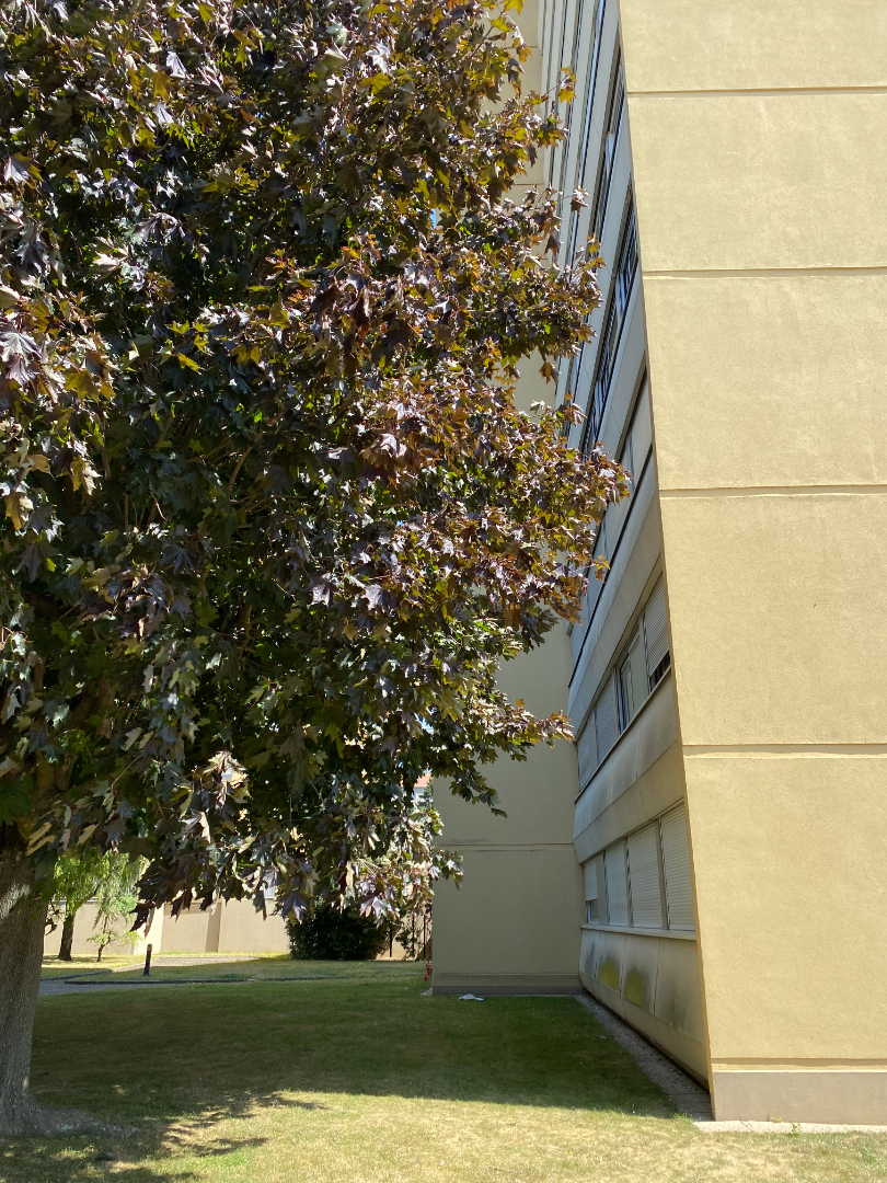 Photo Appartement Rouen 3 pièce(s) image 5/5