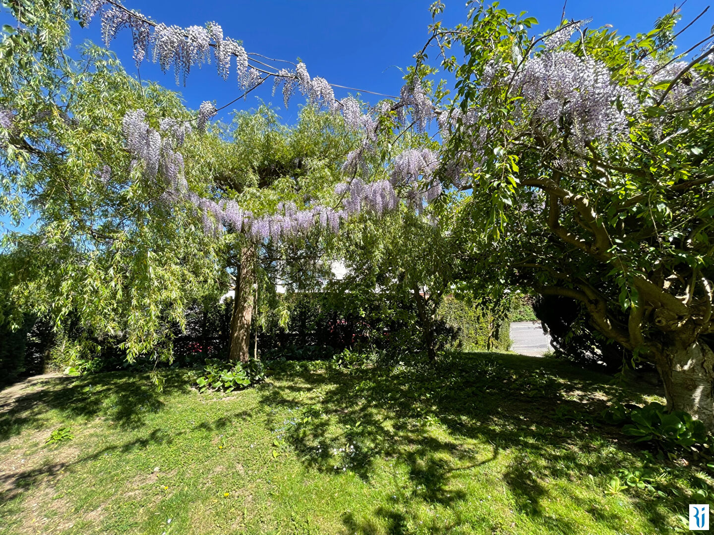 Photo BONSECOURS - Maison individuelle (5 chambres) d'environ 133 m² avec sous-sol complet image 2/6