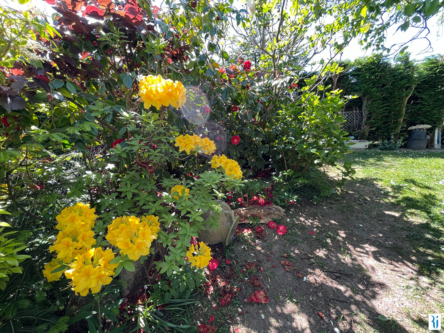 Photo BONSECOURS - Maison individuelle (5 chambres) d'environ 133 m² avec sous-sol complet image 5/6