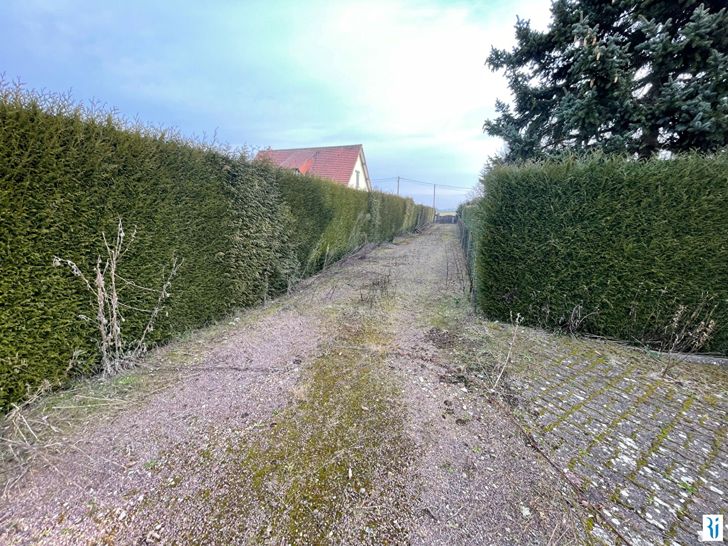 Photo BOOS - TERRAIN d'environ 1717 m² avec maison sinistrée image 2/3