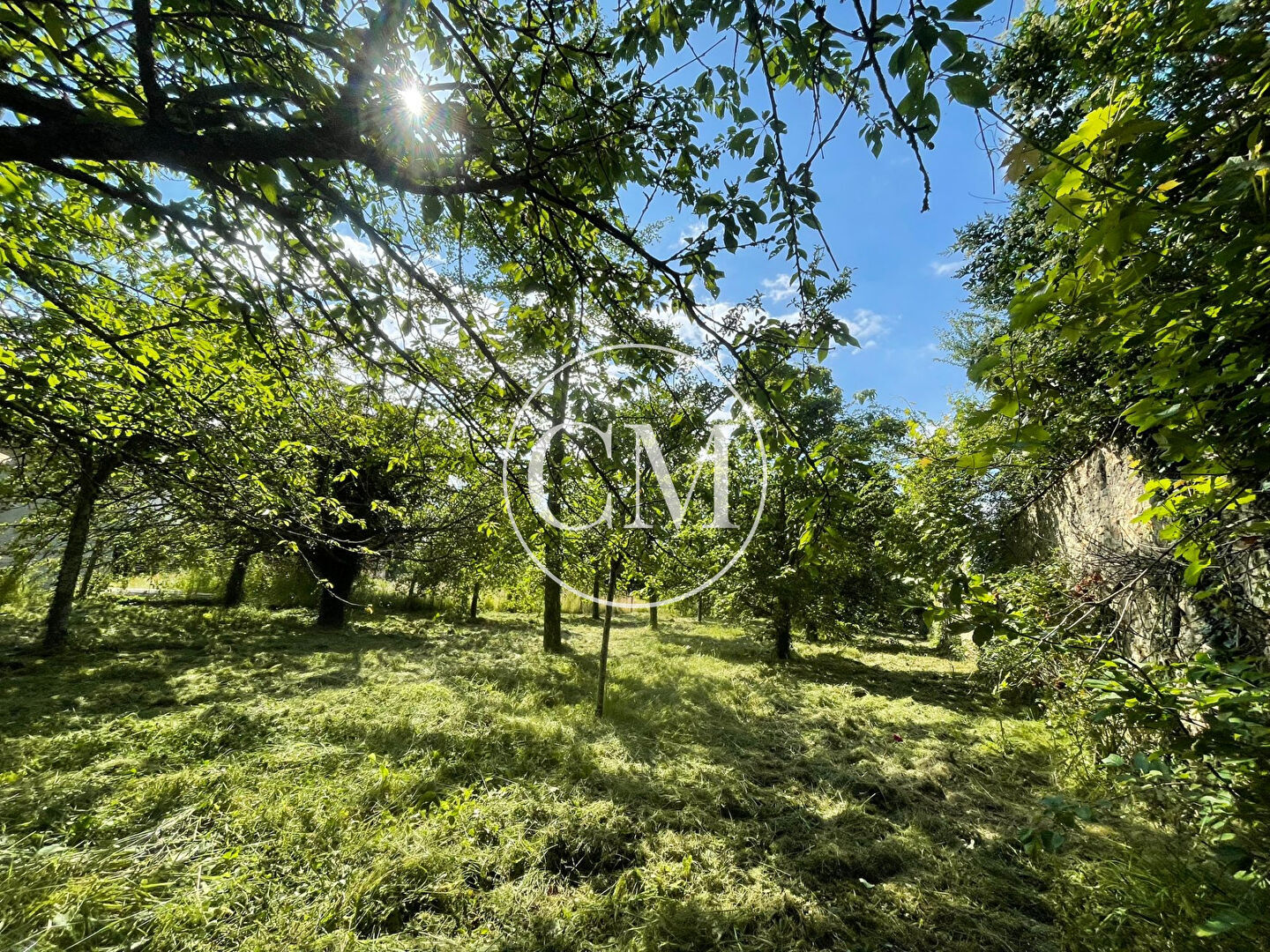 Photo GAMBAIS TERRAIN A BATIR image 4/6