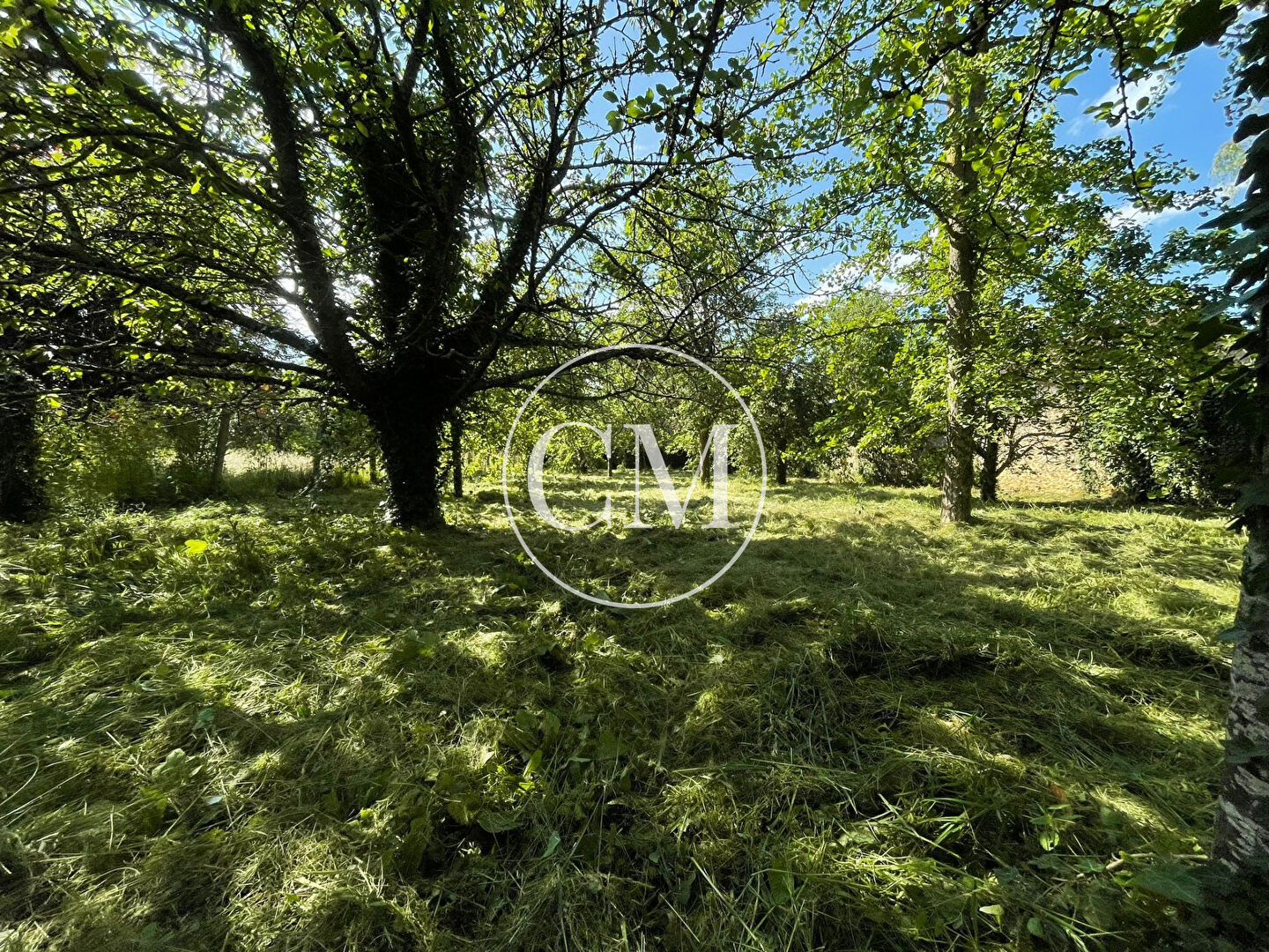 Photo GAMBAIS TERRAIN A BATIR image 5/6