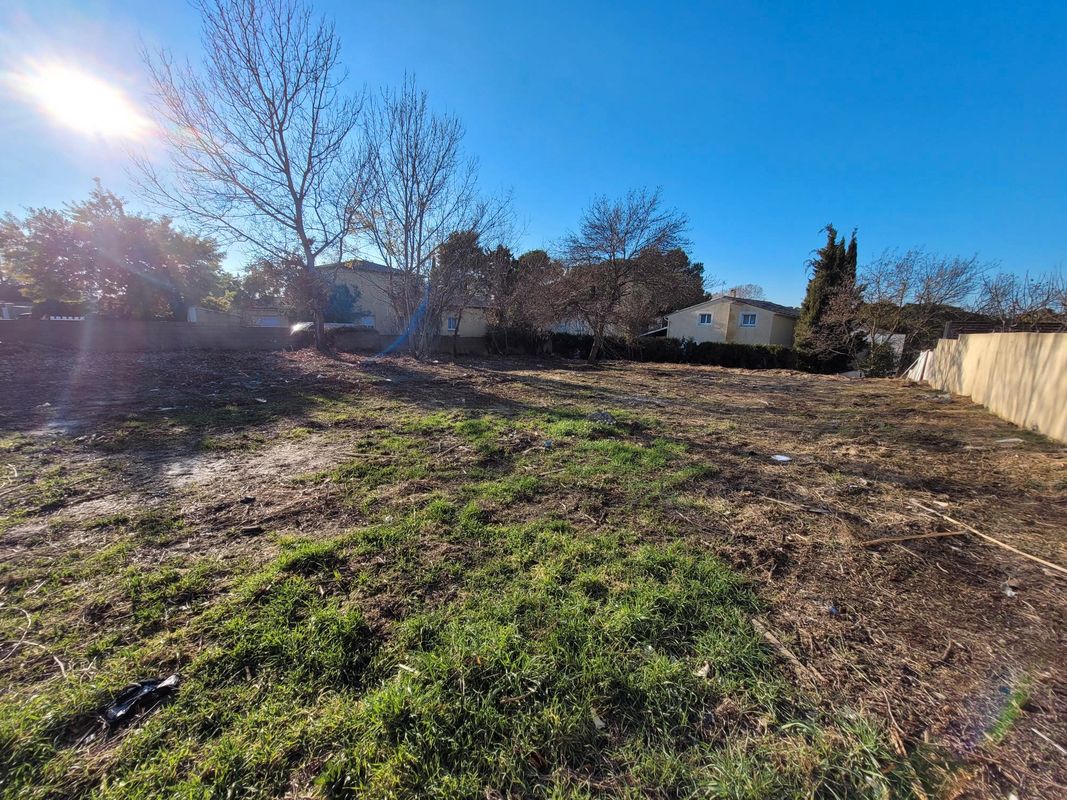 Agence immobilière de 
 CABINET LA MONTPELLIERAINE DE L'IMMOBILIER - Cabinet la Montpellieraine de l'Immobilier 
