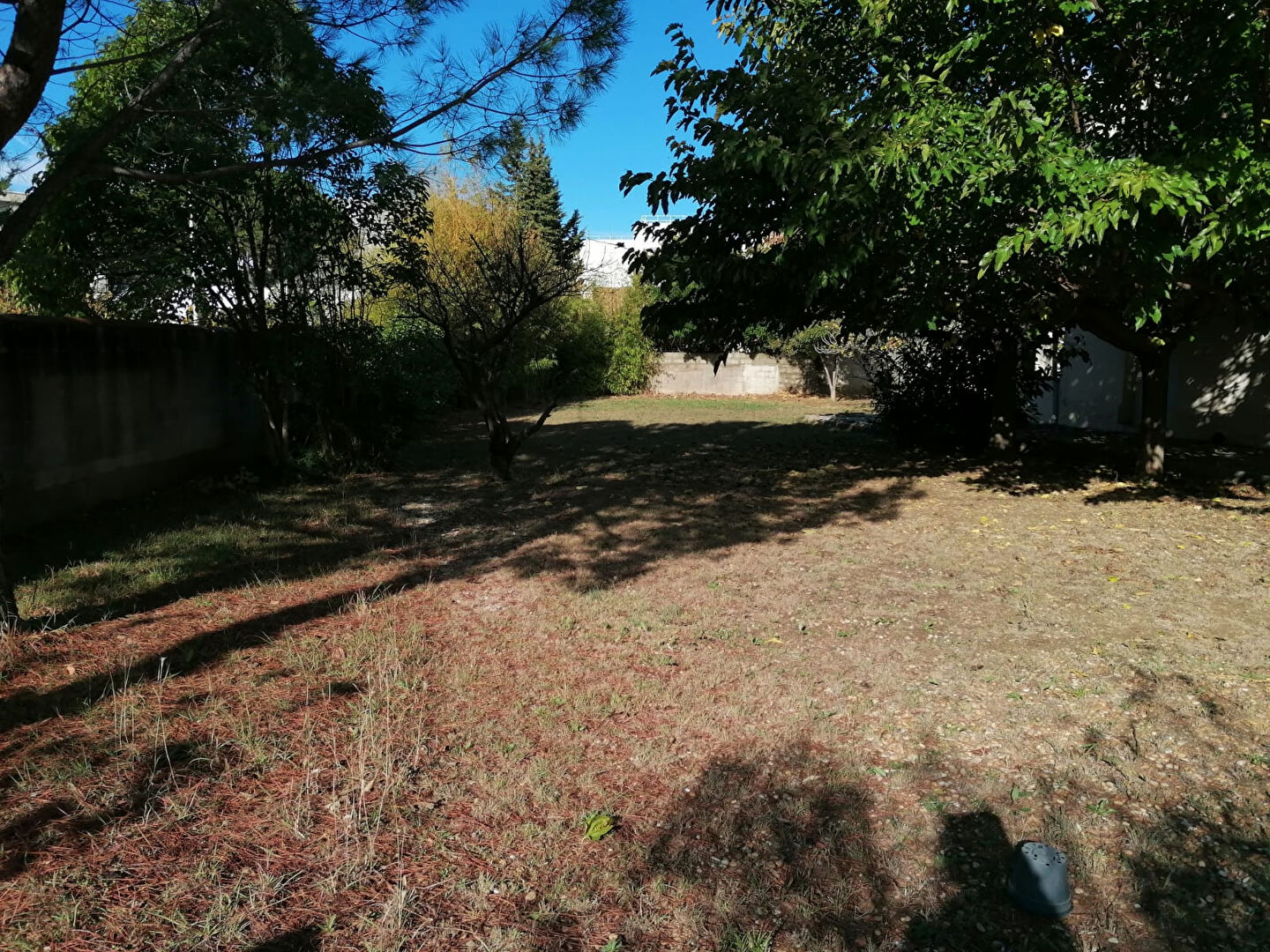 Photo Mtp Celleneuve Lot de 2 parcelles 1000m² image 4/6