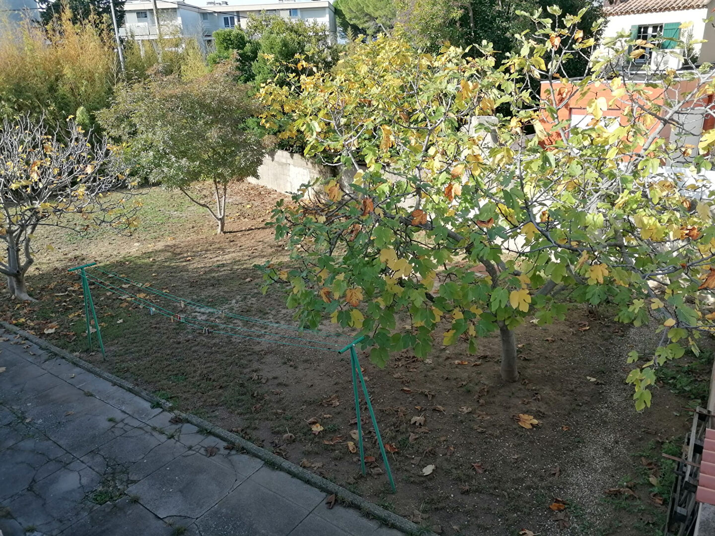 Photo Mtp Celleneuve Lot de 2 parcelles 1000m² image 5/6