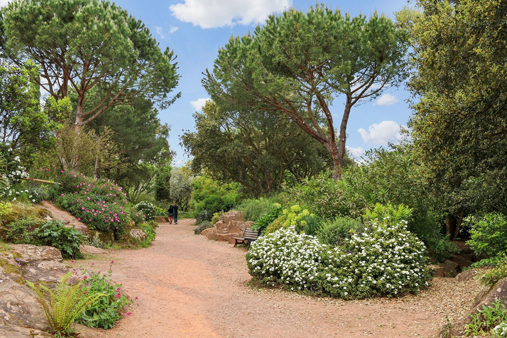 Photo VENDU - NANTES - DOULON - Programme immobilier neuf - Vente appartements neufs image 3/4