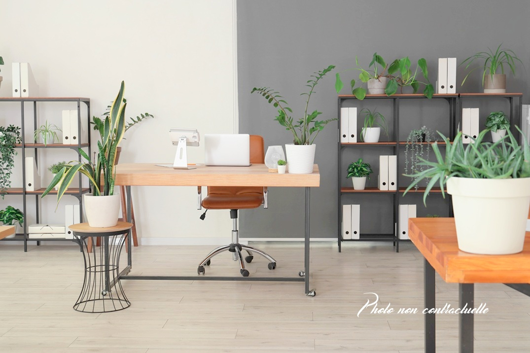 VITRE - local bureau de 42.59m² - rez-de-chaussée - stationnement privatif
