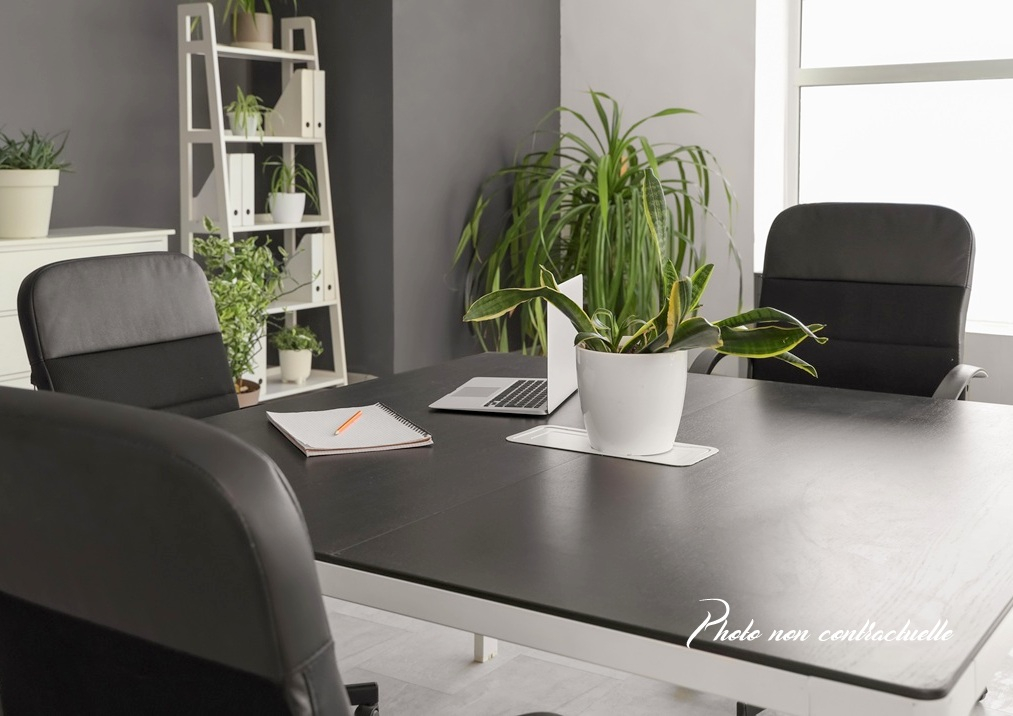 VITRE - local bureau de 42.79m² - rez-de-chaussée - stationnement privatif