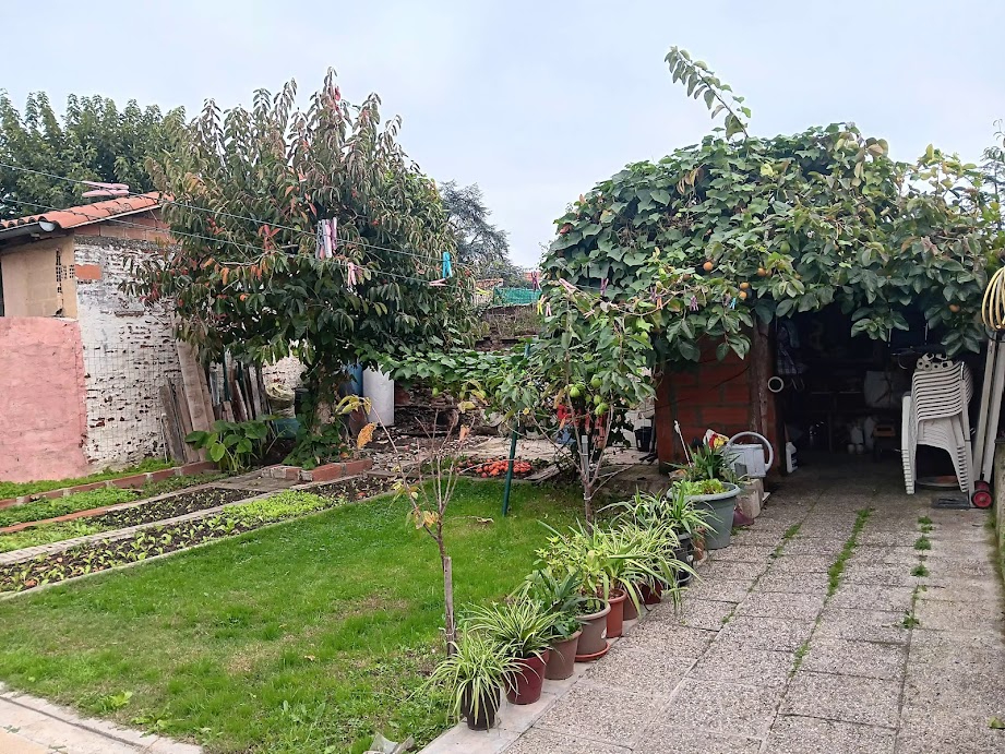 Photo Immeuble image 2/6