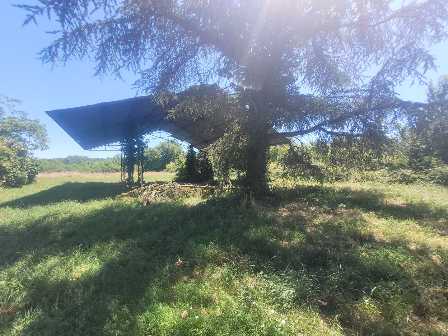 Photo EXCLUSIVITE Propriété agricole Montauban image 5/6