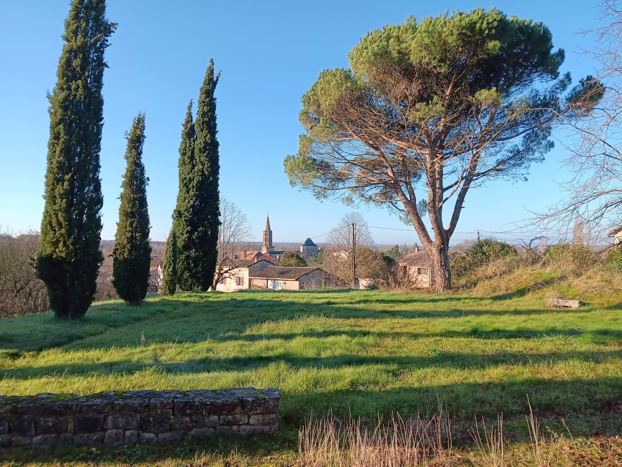 Photo Maison T7 Montricoux 170 m2 image 4/6