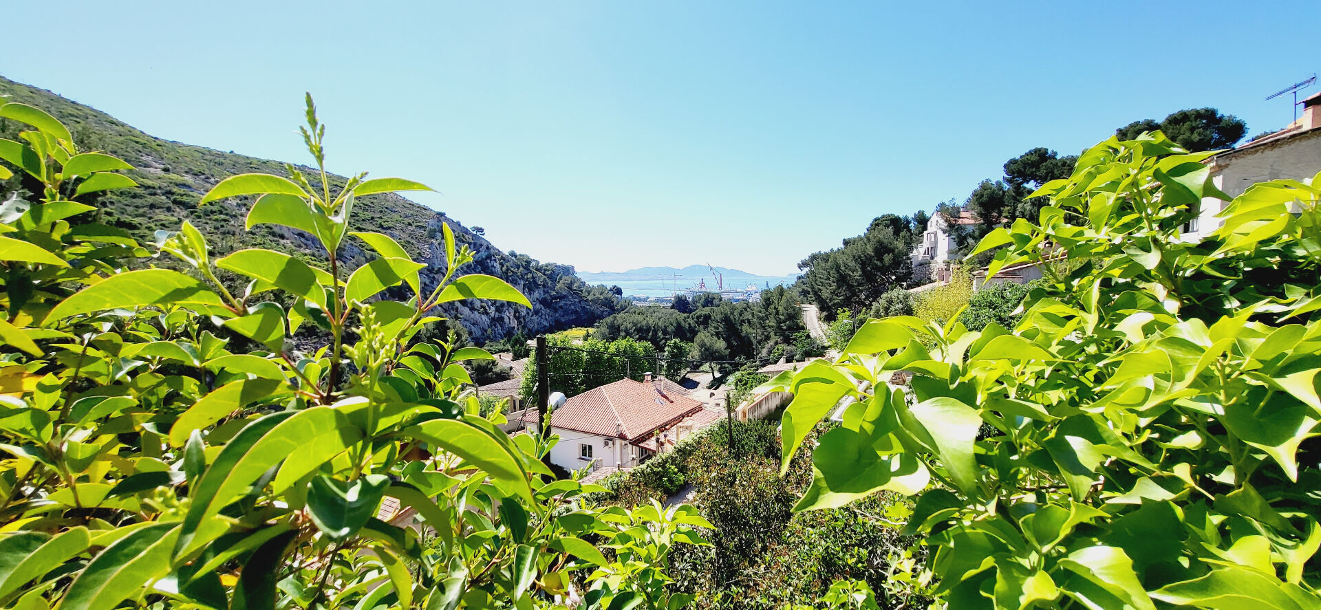 Photo EXCLUSIVITÉ . HAUTEURS  DE  L'ESTAQUE  Grande villa  indépendante entre mer & colline sur terrain de 1300m2 image 5/6