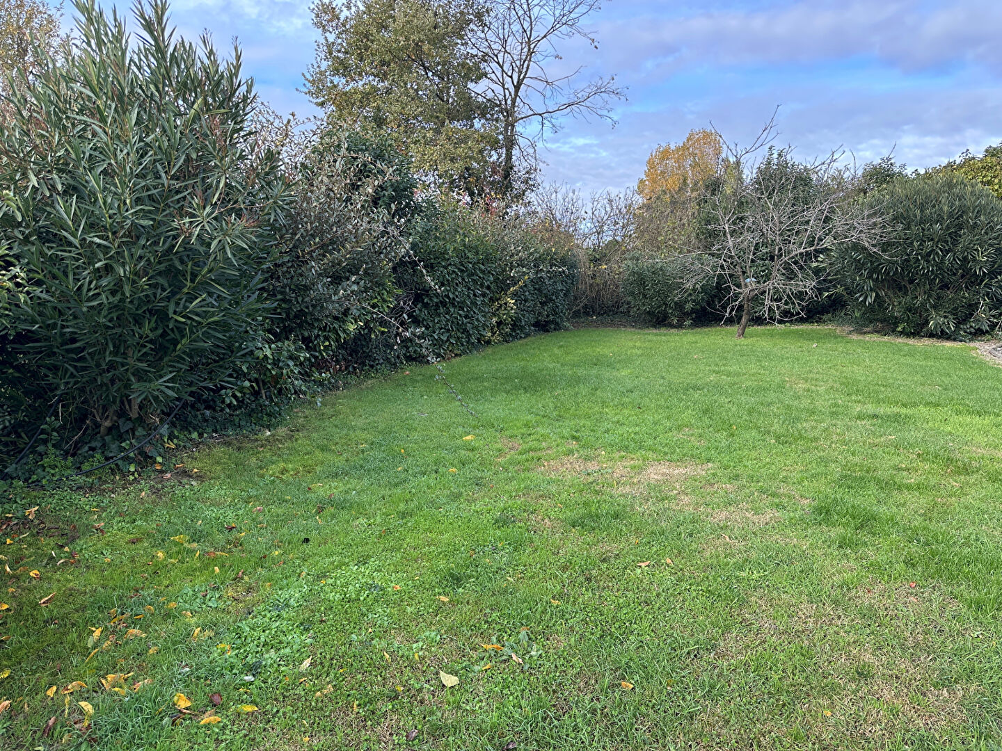 Agence immobilière de CAPITAL CONSEIL IMMOBILIER - CAPITAL CONSEIL IMMOBILIER