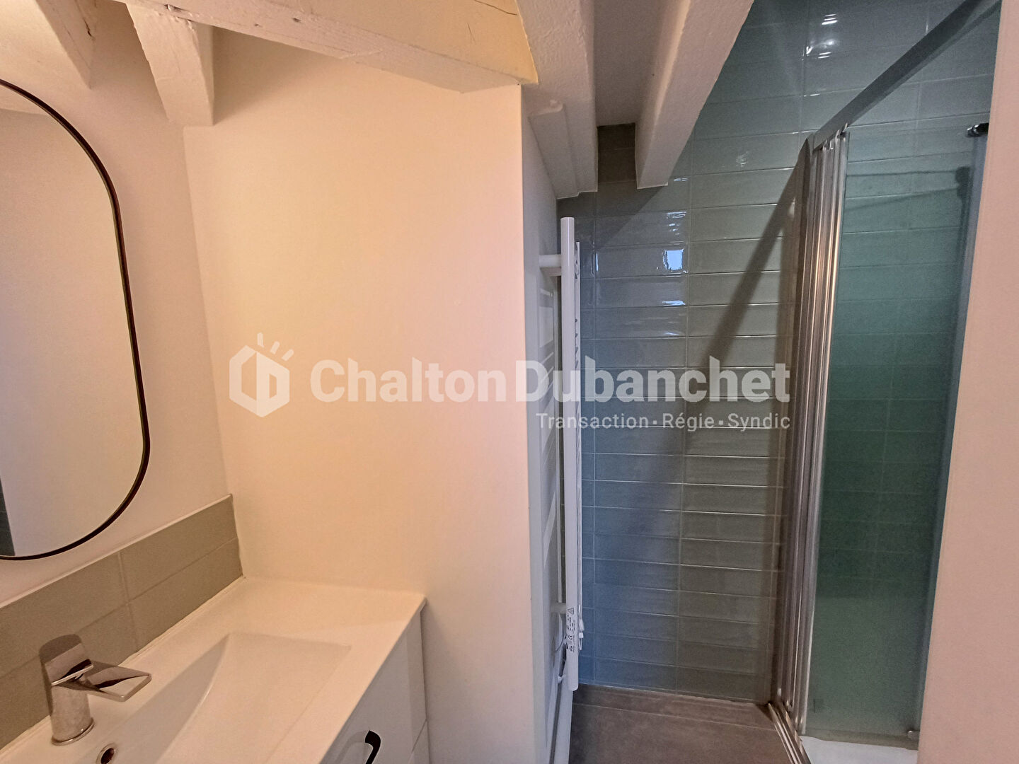 Photo À LOUER ? Appartement T3 ? Roanne Hyper Centre ? Rue Émile Noirot image 5/5