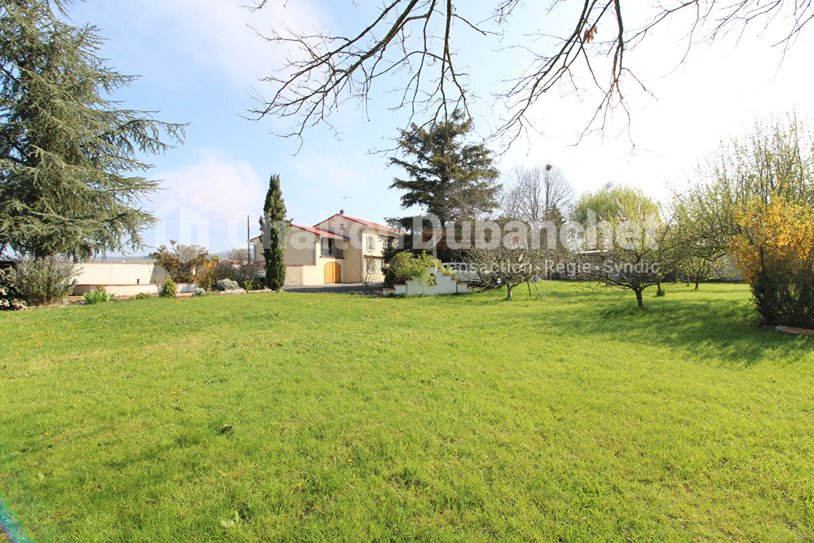 Agence immobilière de CHALTON DUBANCHET Immobilier - Feurs