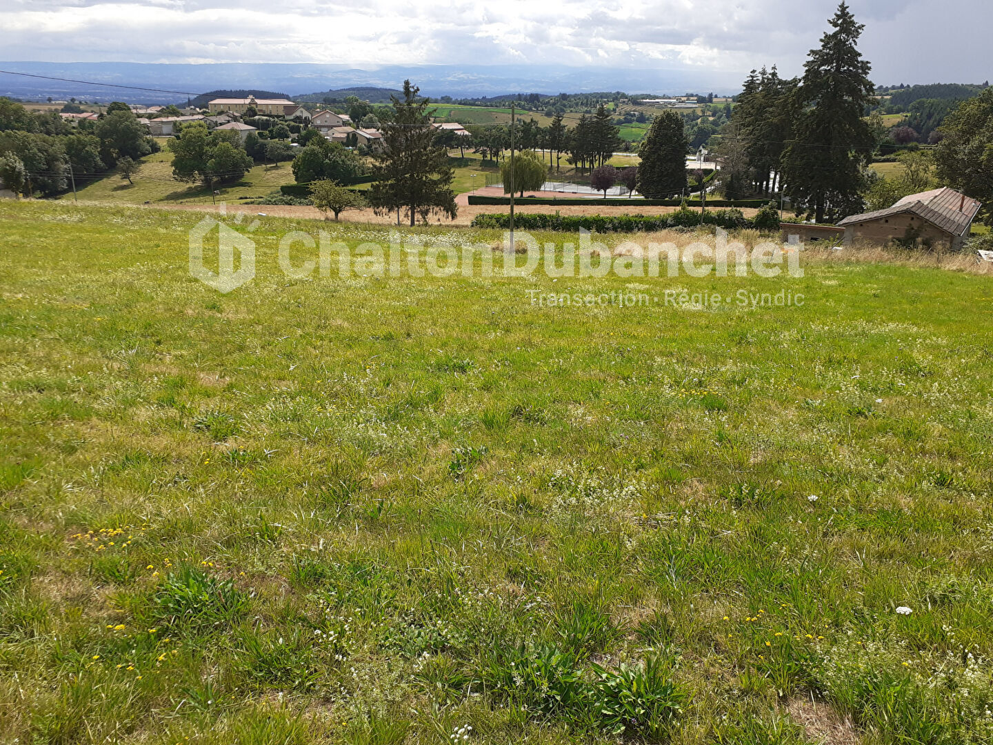 Agence immobilière de CHALTON DUBANCHET Immobilier - Feurs