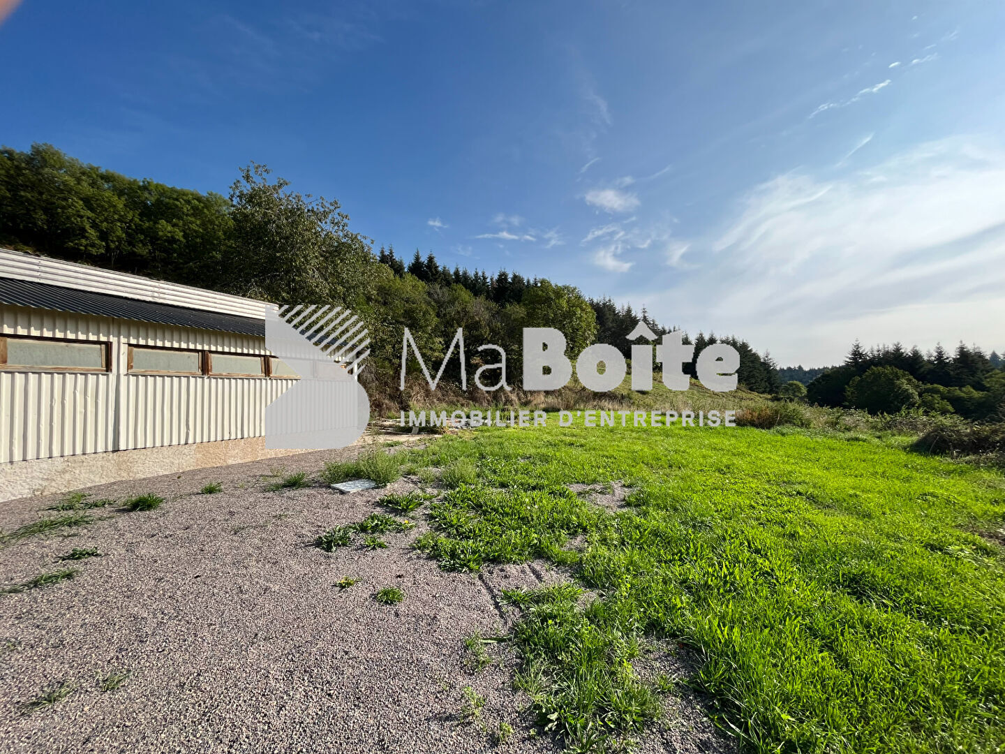 Photo LOCAL 500m² avec terrain de 1000m² image 2/4