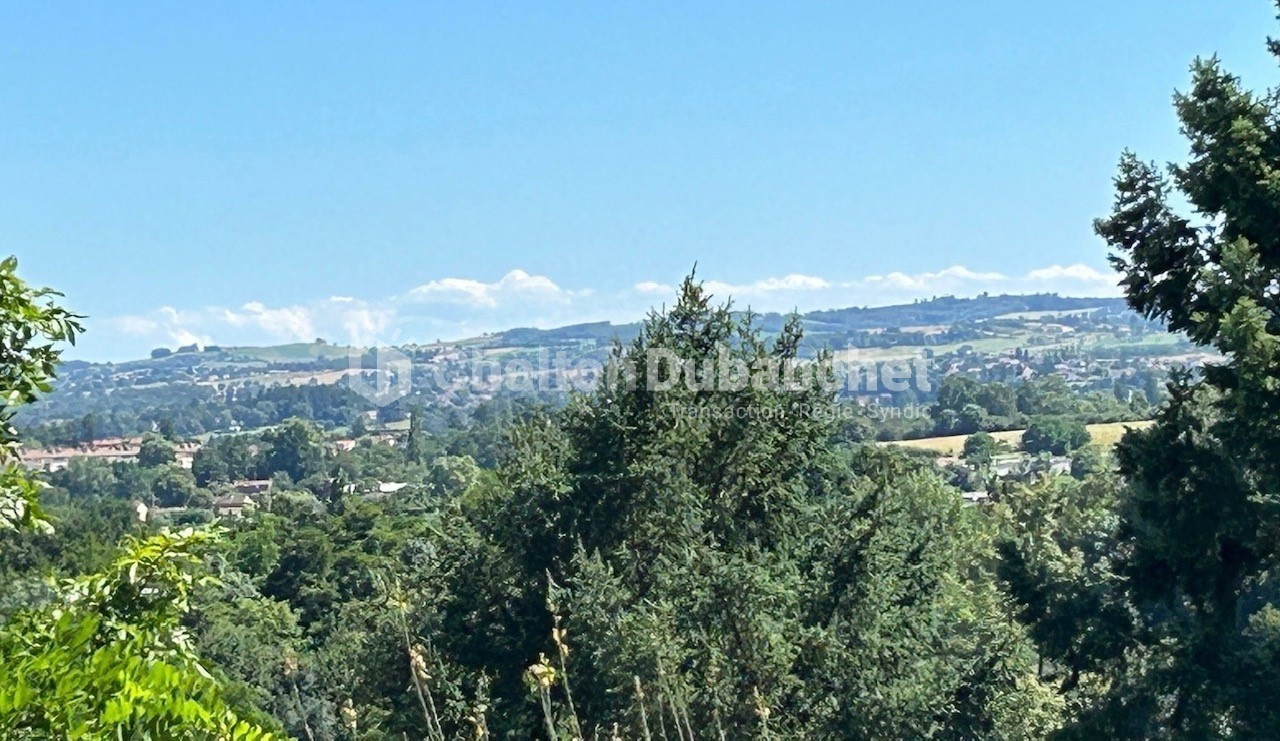 Photo RIORGES  - Maison de charme  de 180 m² sur 1450 m² vue imprenable image 4/6