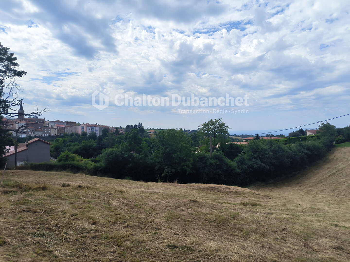 Photo BUSSIERES - Terrain constructible de 4 682 m² image 2/3