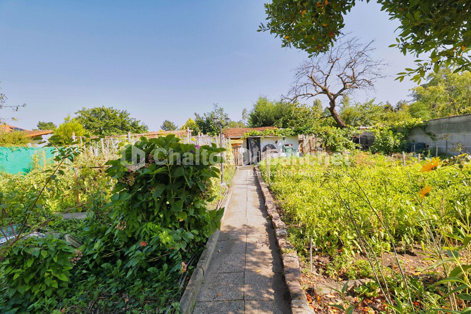 Photo ROANNE - Maison de 93 m² image 4/6