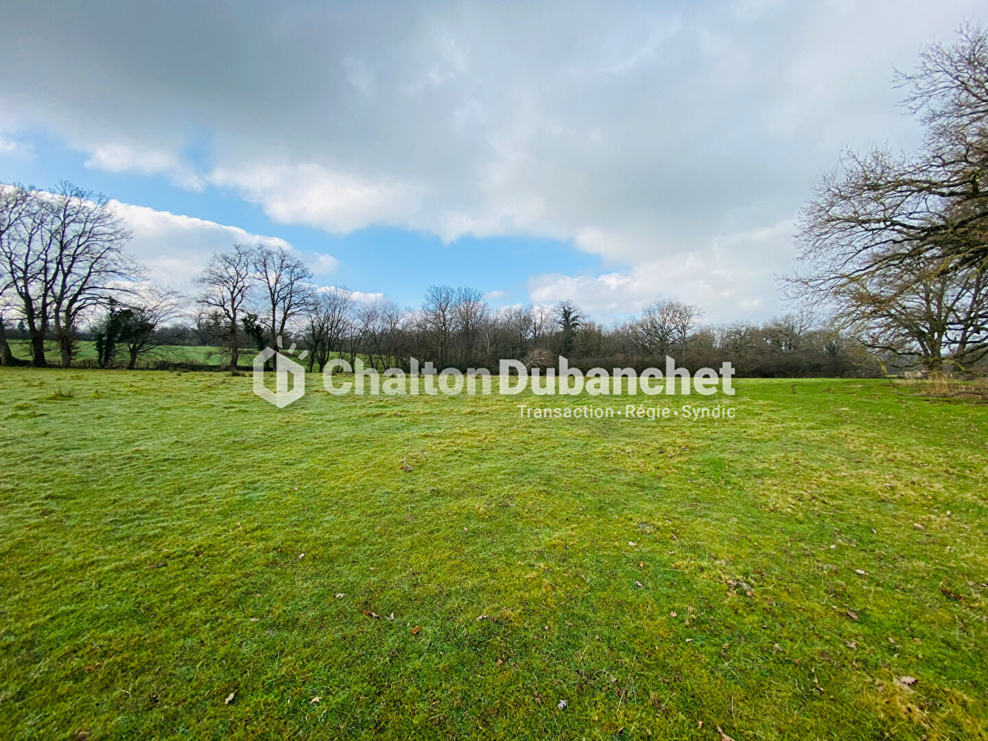 Photo MELAY - Terrain 11532 m2 dont environ 2000 m² constructible image 2/5