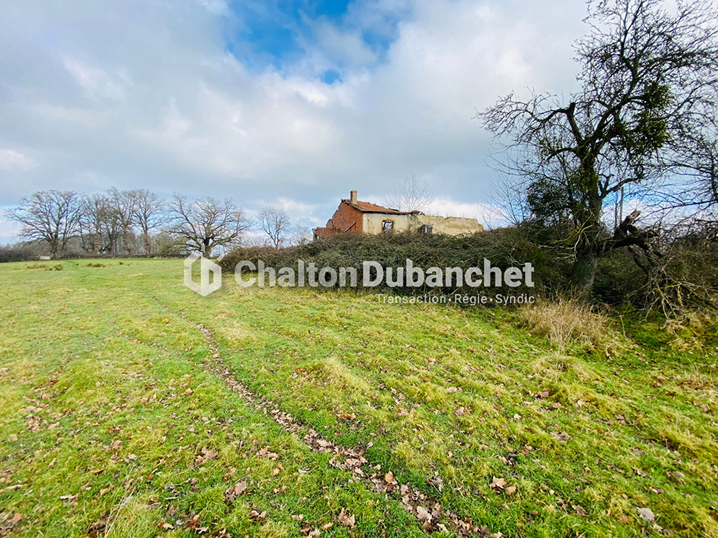 Photo MELAY - Terrain 11532 m2 dont environ 2000 m² constructible image 3/5