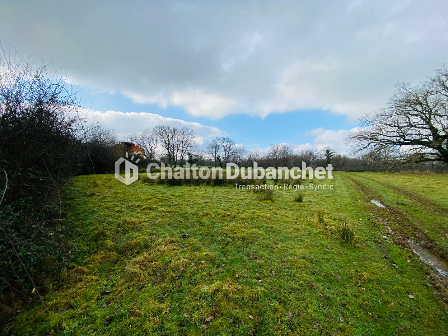 Photo MELAY - Terrain 11532 m2 dont environ 2000 m² constructible image 4/5