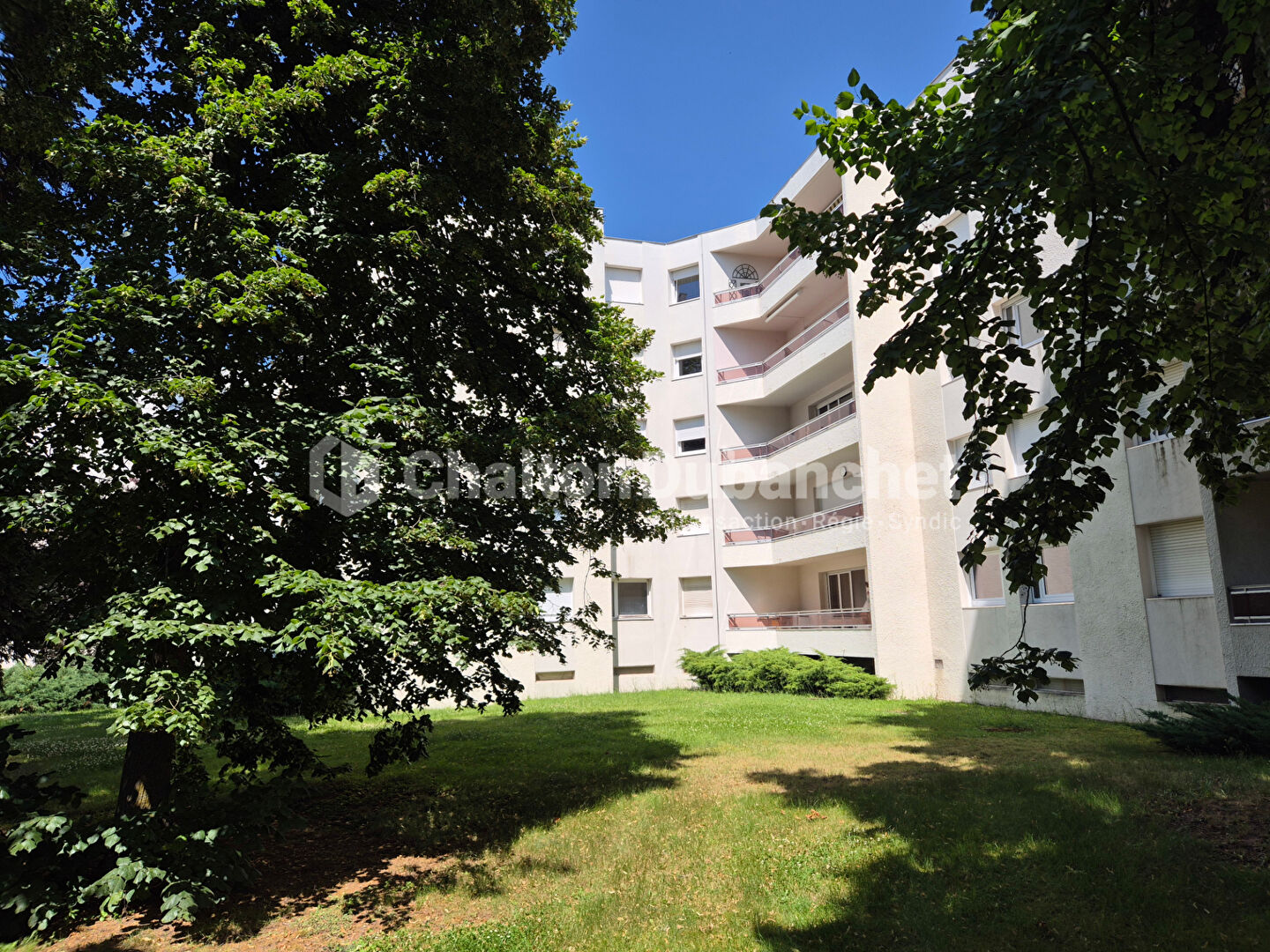 Agence immobilière de CHALTON DUBANCHET Immobilier - Feurs