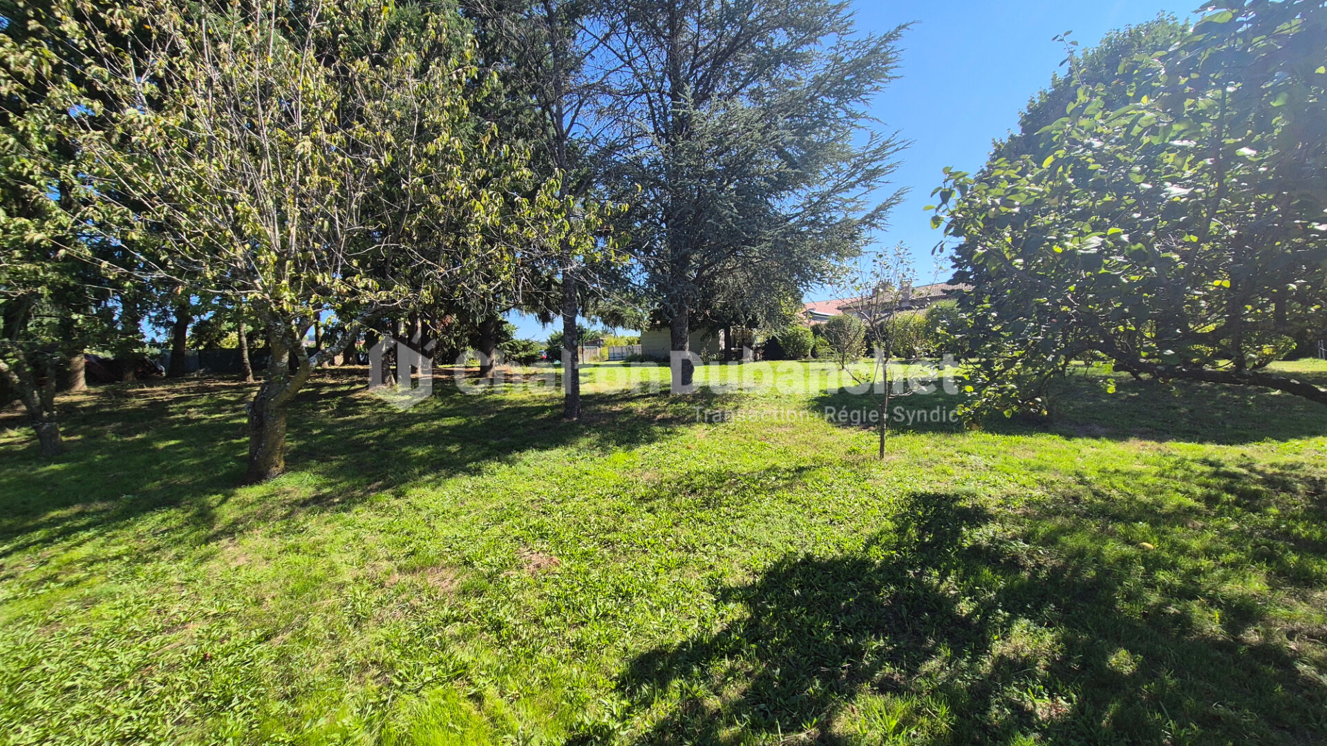 Agence immobilière de CHALTON DUBANCHET Immobilier - Feurs