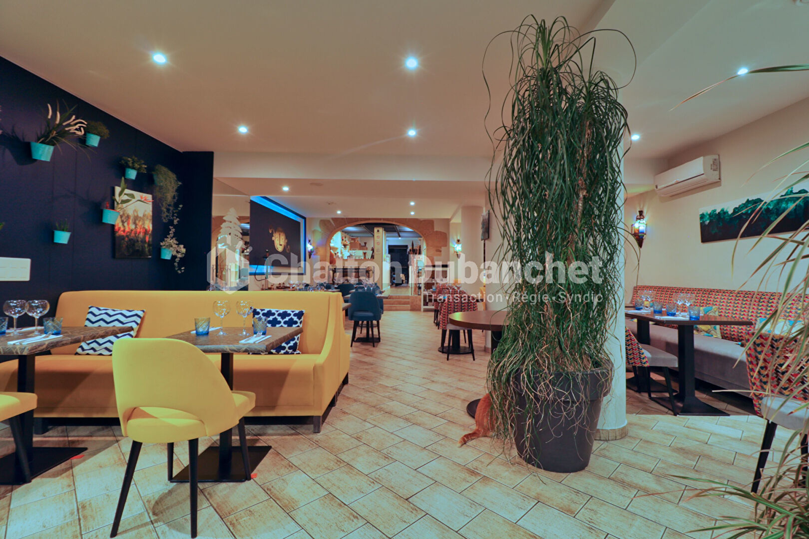 Photo Restaurant de 310 m² HYPER-CENTRE de ROANNE image 2/6