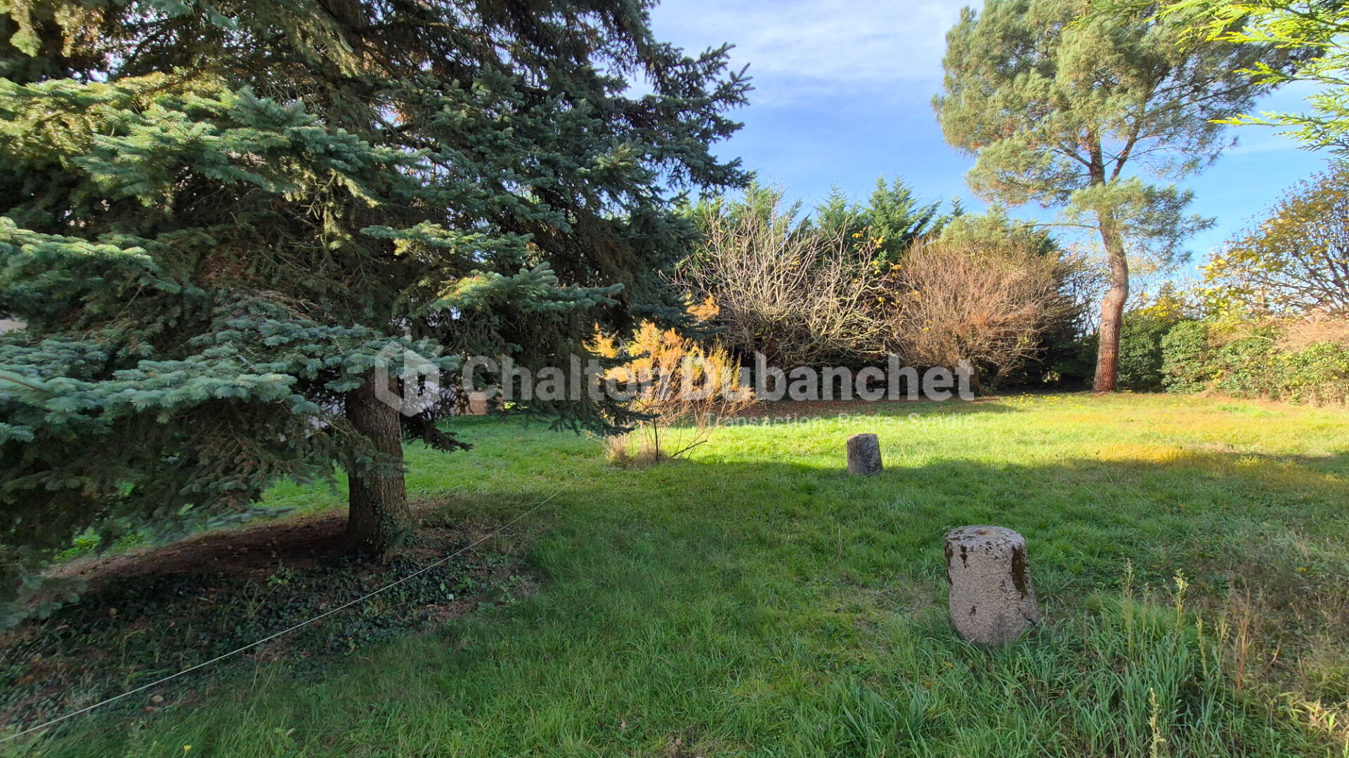 Photo Maison Balbigny 188 m² parcelle 962 m² dont 740 m² constructibles image 1/6