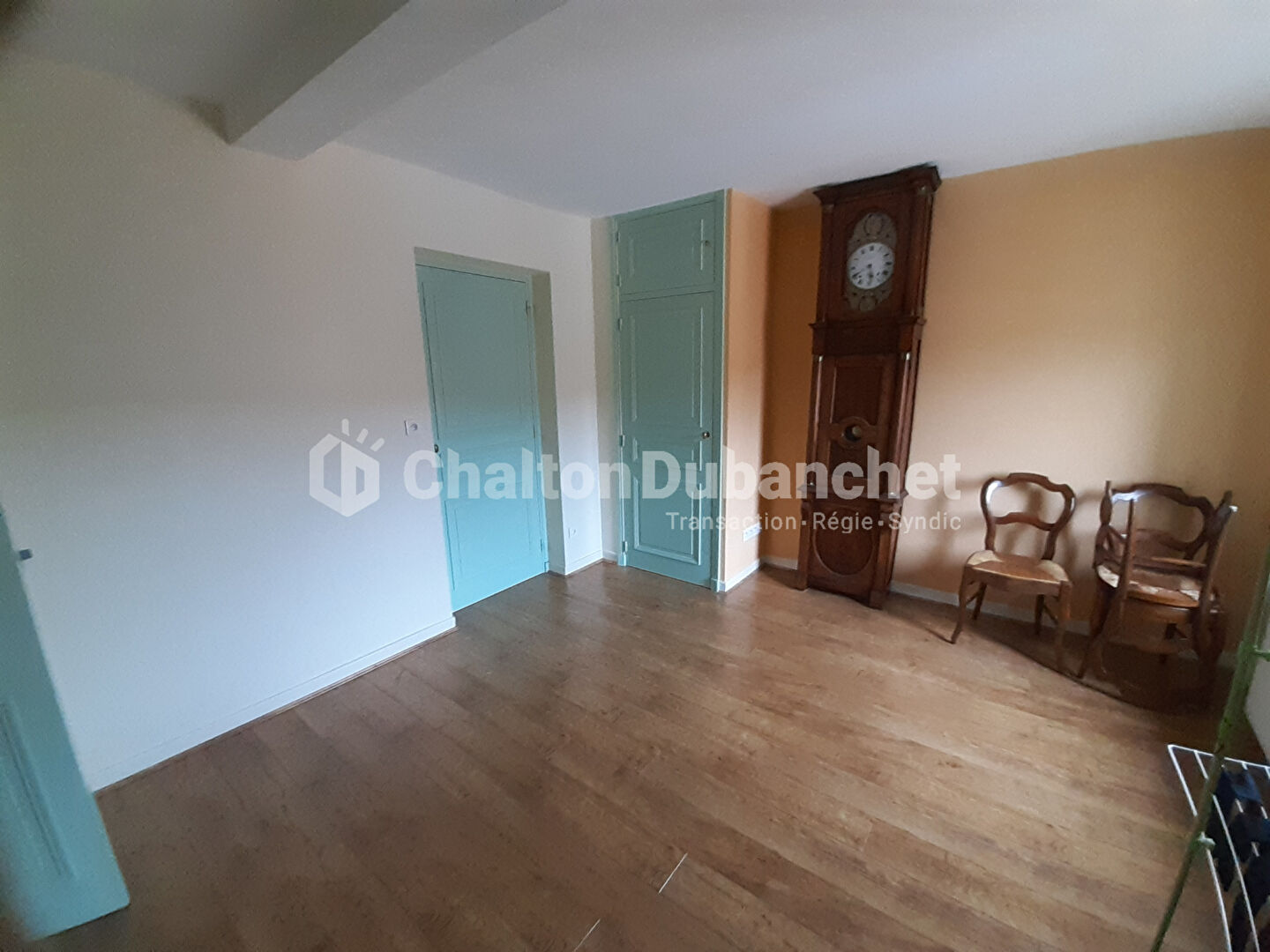 Photo Immeuble Bussieres 5 logements 269 m2 image 5/6