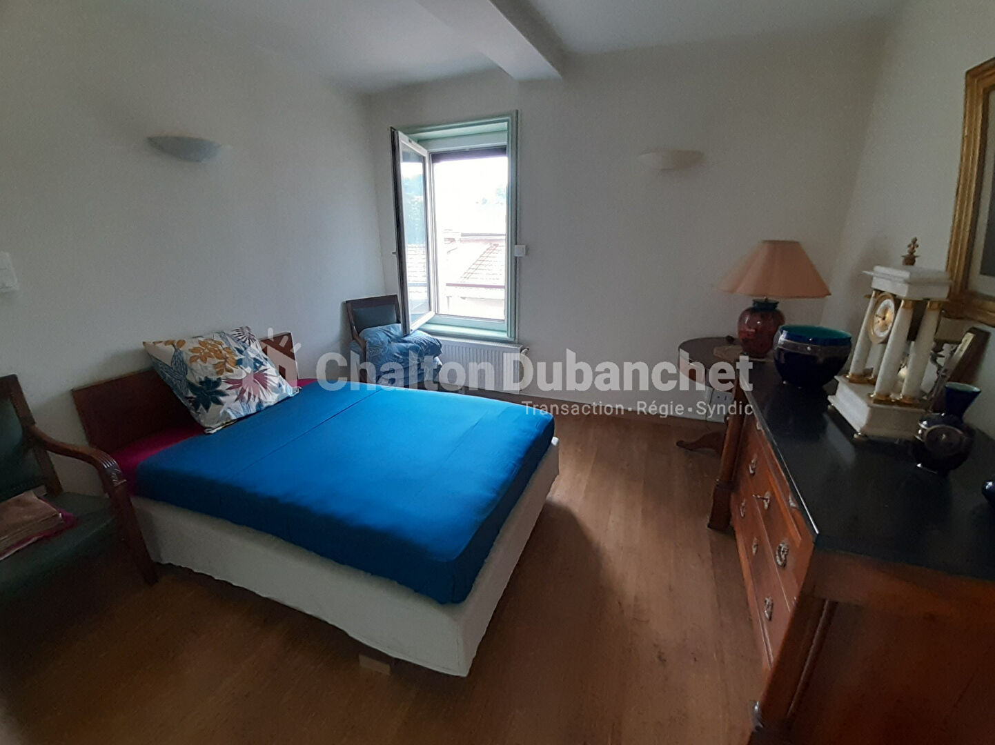 Photo Immeuble Bussieres 5 logements 269 m2 image 6/6